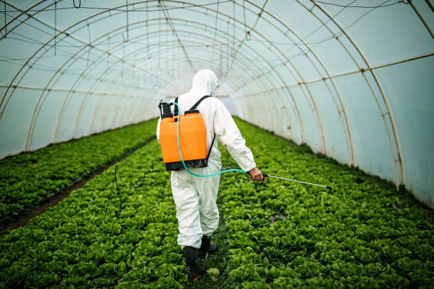 Best Pest Control Cost  in Oak Harbor, OH