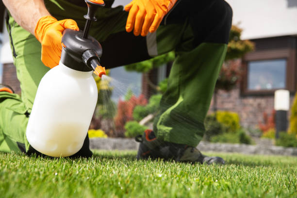 Best Ant Control Services  in Oak Harbor, OH