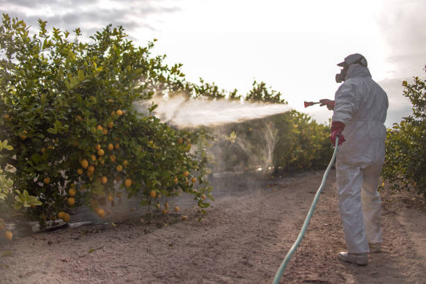 Best Pest Control for Homes  in Oak Harbor, OH