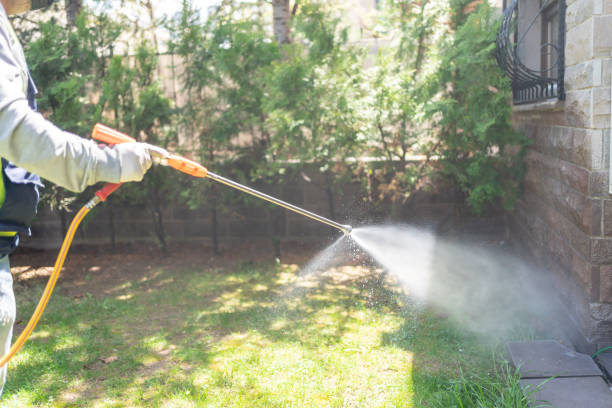 Best Termite Control Services  in Oak Harbor, OH